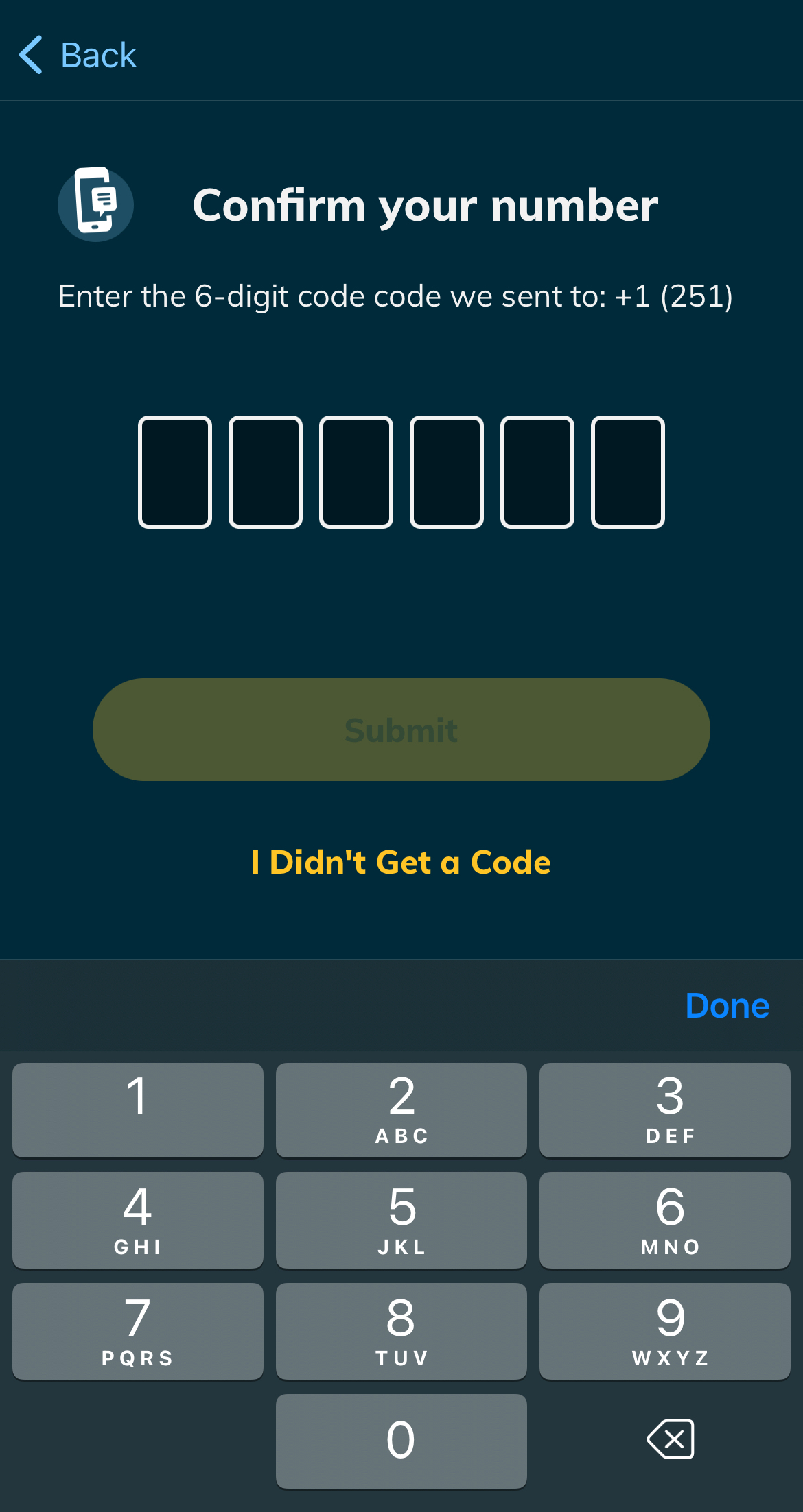 App - phone verification screen.jpeg